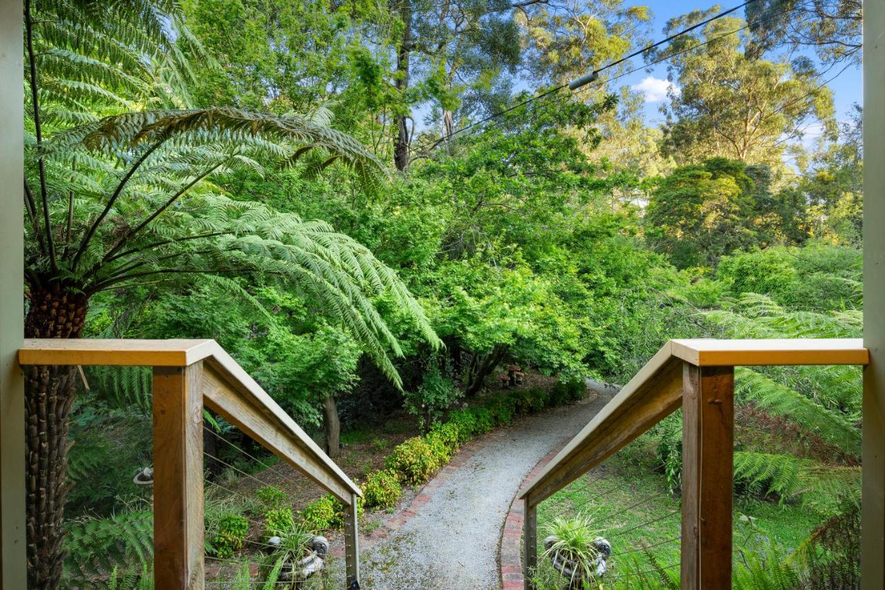Вілла Paddys Creek Retreat Upwey Екстер'єр фото