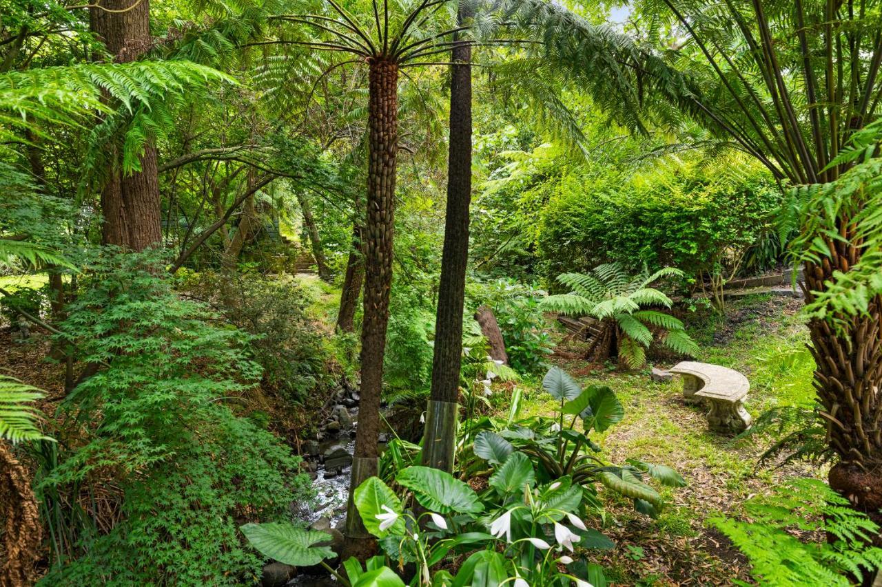 Вілла Paddys Creek Retreat Upwey Екстер'єр фото
