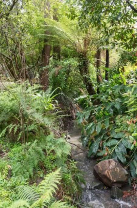 Вілла Paddys Creek Retreat Upwey Екстер'єр фото
